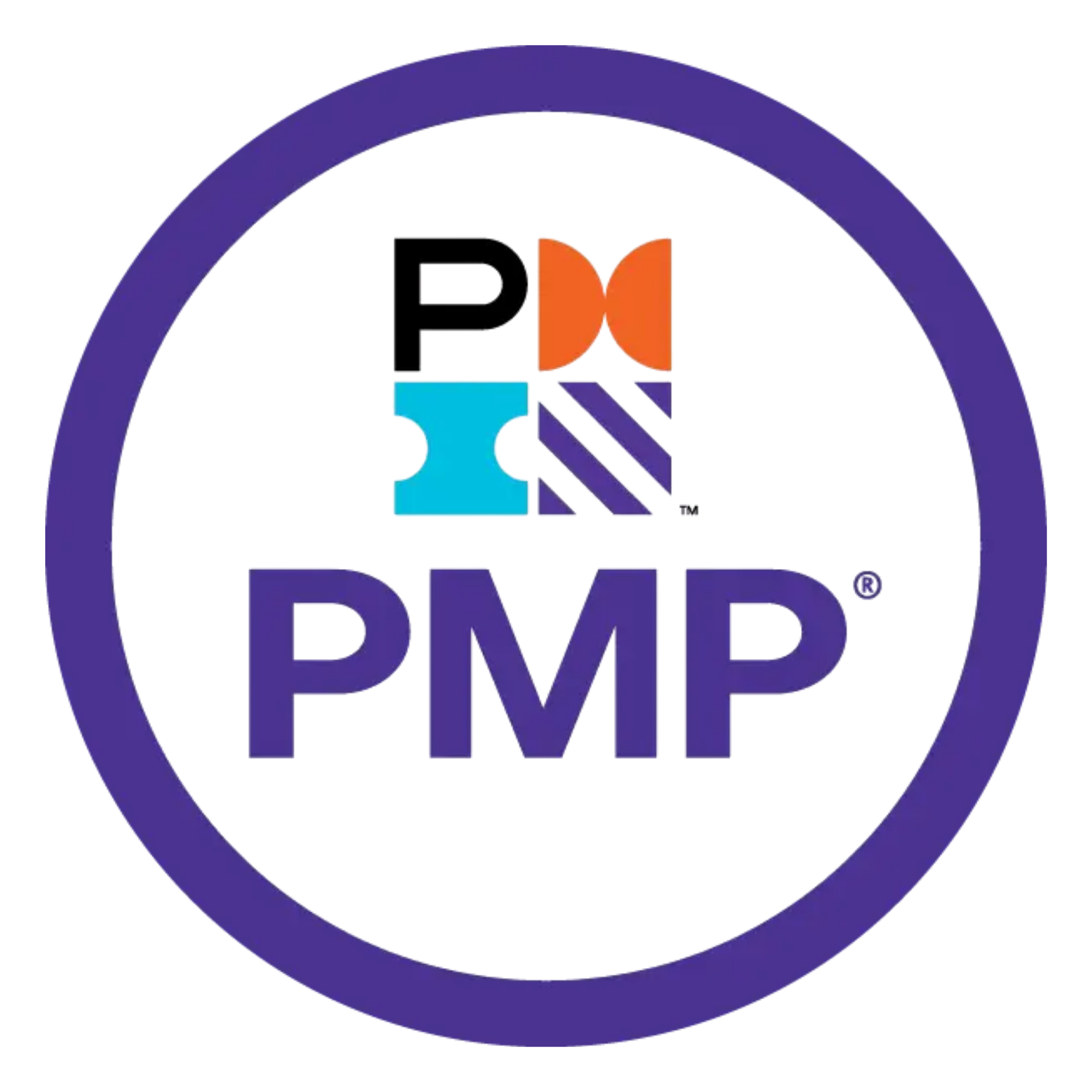PMI PMP